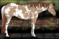 Horse Color:White Spotted Red Dun