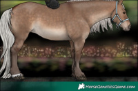 Horse Color:Silver Brown Dun 