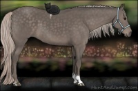 Horse Color:Silver Black Tobiano 