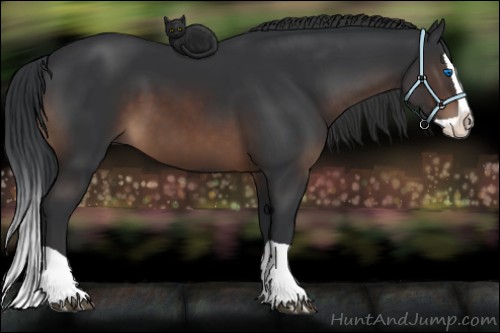 Horse Color:Brown Splash 