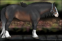 Horse Color:Brown Splash 