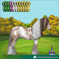 Horse Color:White Spotted Classic Champagne 