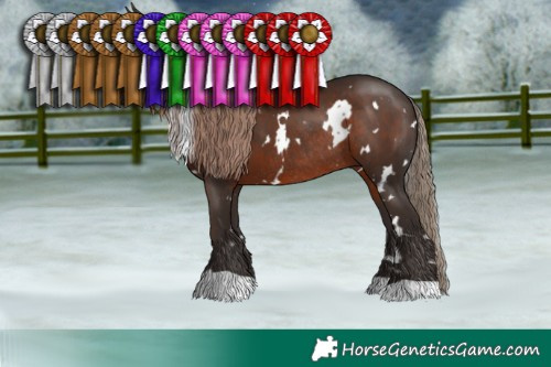Horse Color:White Spotted Liver Chestnut Rabicano 