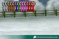 Horse Color:White Spotted Liver Chestnut Rabicano