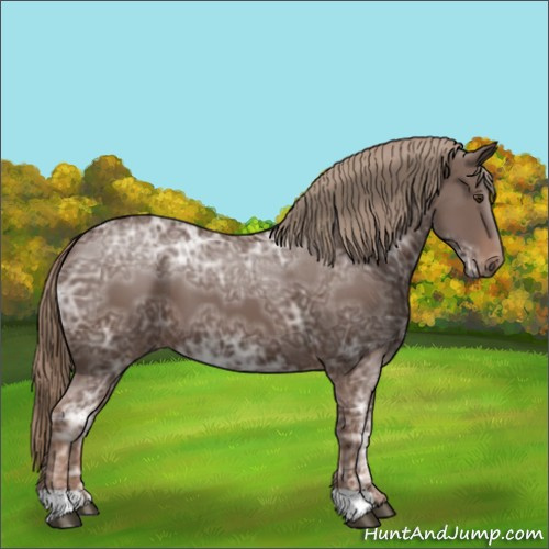 Horse Color:Liver Chestnut Ice 