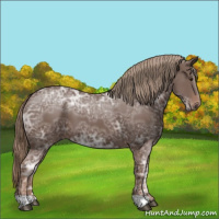 Horse Color:Liver Chestnut Ice 