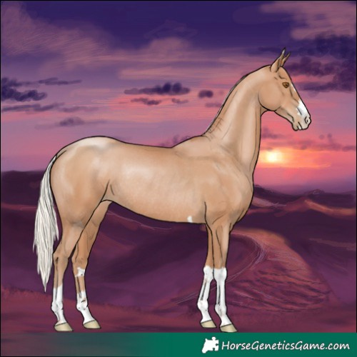 Horse Color:Silver Black Pearl Rabicano 