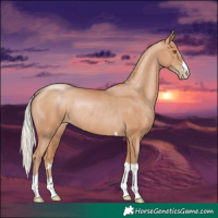 Horse Color:Silver Black Pearl Rabicano 