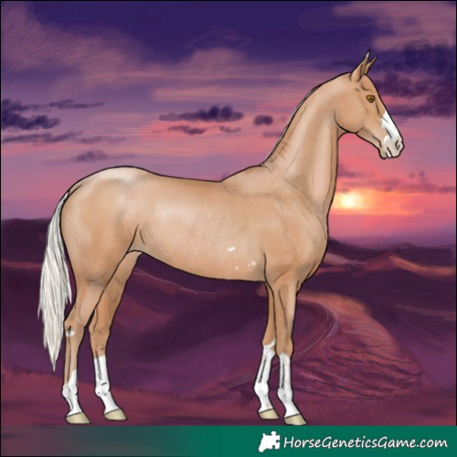 Horse Color:Silver Black Pearl Rabicano 