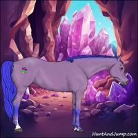 Horse Color:Watercolor Bay Sabino 