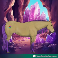Horse Color:Watercolor Bay 