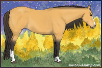 Horse Color:Buckskin Sabino 