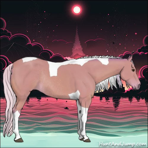 Horse Color:Watercolor Silver Bay Tobiano Rabicano 