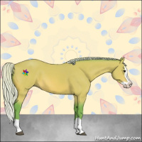 Horse Color:Watercolor Silver Bay Splash 