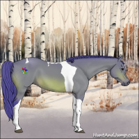 Horse Color:Watercolor Bay Tobiano 