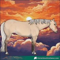 Horse Color:Silver Bay Dun 