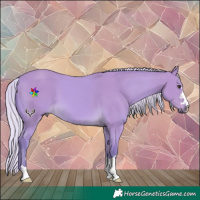 Horse Color:Watercolor Silver Buckskin
