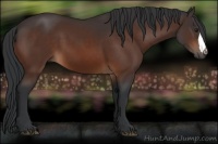 Horse Color:Brown 