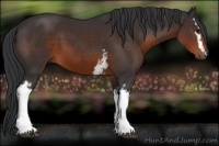 Horse Color:White Spotted Brown 