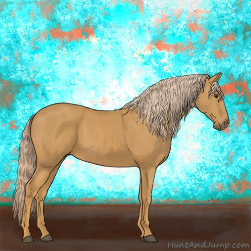 Horse Color:Palomino