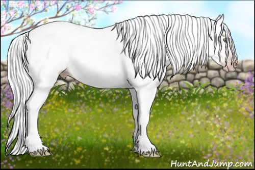 Horse Color:Gray White Spotted Gold Cream Champagne Splash