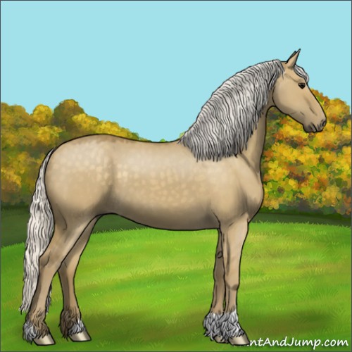 Horse Color:Silver Smoky Grullo 