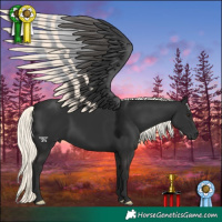 Horse Color:Liver Chestnut Mushroom 