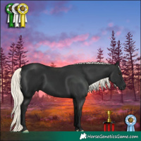 Horse Color:Liver Chestnut Mushroom 