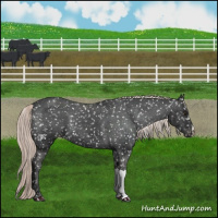 Horse Color:Liver Chestnut Mushroom Snowflake Varnish 