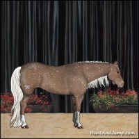 Horse Color:Liver Chestnut Mushroom Snowflake Varnish 