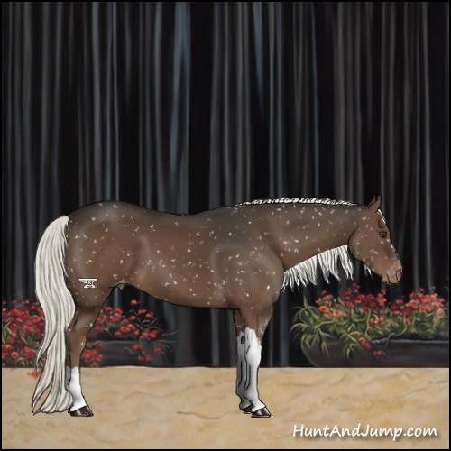 Horse Color:Liver Chestnut Mushroom Snowflake Varnish 