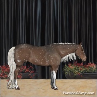 Horse Color:Liver Chestnut Mushroom Snowflake Varnish 