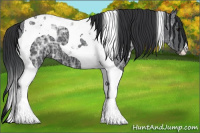 Horse Color:Black Ice Tobiano 