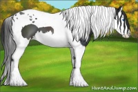 Horse Color:Black Splash Tobiano