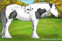 Horse Color:Black Splash Tobiano 