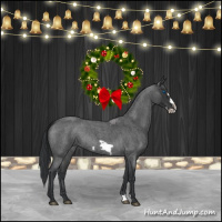 Horse Color:Blue Roan Frame