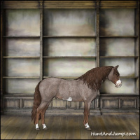 Horse Color:Liver Red Roan Frame 