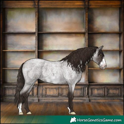 Horse Color:Liver Red Roan Frame