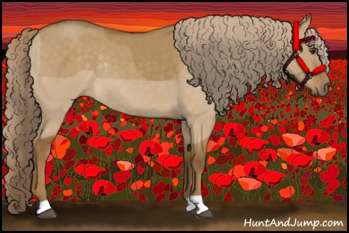 Horse Color:Chocolate Palomino Dun Rabicano 