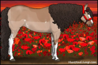 Horse Color:White Spotted Brown Dun 