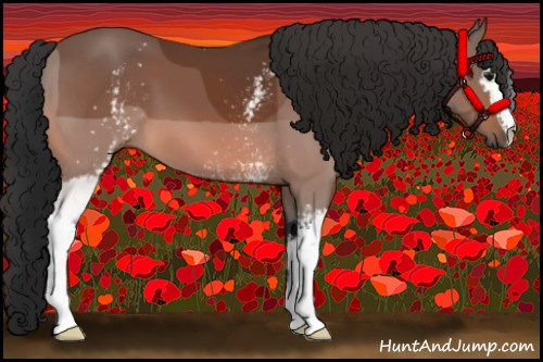 Horse Color:White Spotted Bay 