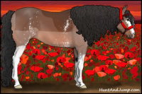Horse Color:White Spotted Bay 