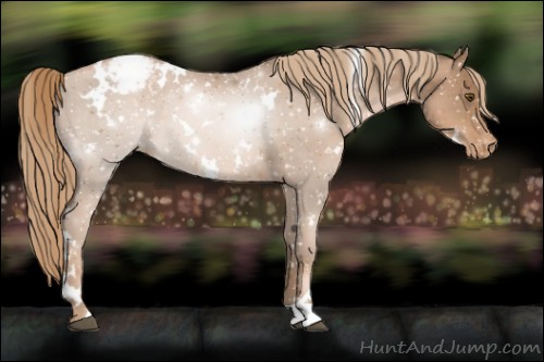 Horse Color:White Spotted Liver Chestnut Pearl Snowflake Varnish