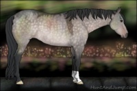 Horse Color:Platinum Brown Dun Rabicano 
