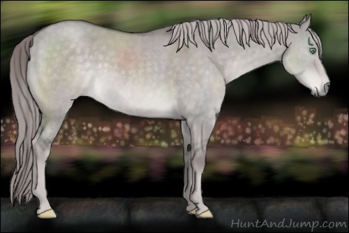 Horse Color:Platinum Chocolate Palomino Dun 