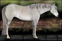 Horse Color:Platinum Chocolate Palomino Dun 