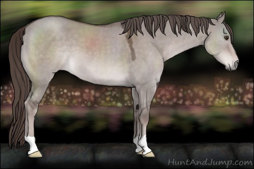 Horse Color:Platinum Liver Red Dun 