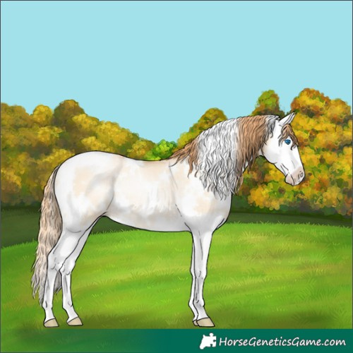 Horse Color:White Spotted Buckskin Pearl Dun Splash Rabicano 