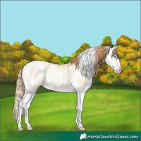 Horse Color:White Spotted Buckskin Pearl Dun Splash Rabicano 