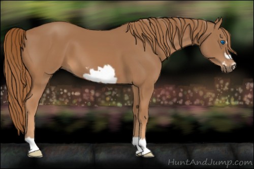 Horse Color:Unknown 